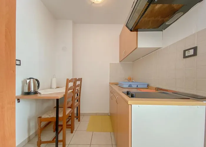 Lejlighed Gardenia One Novigrad Istria